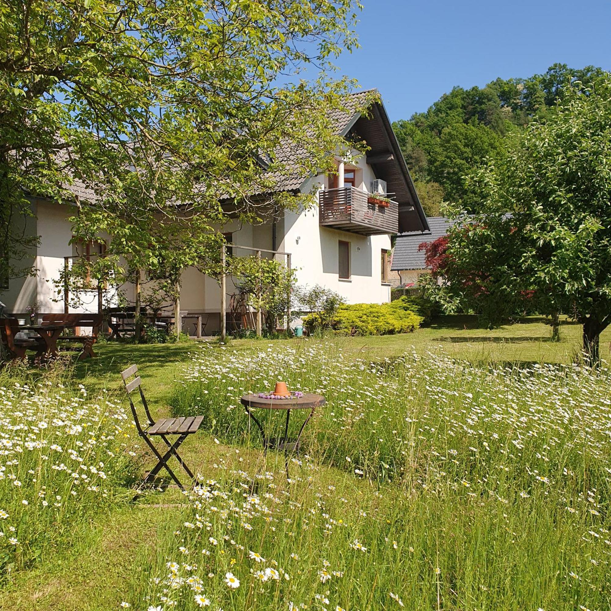 River House Radolca Radovljica Luaran gambar